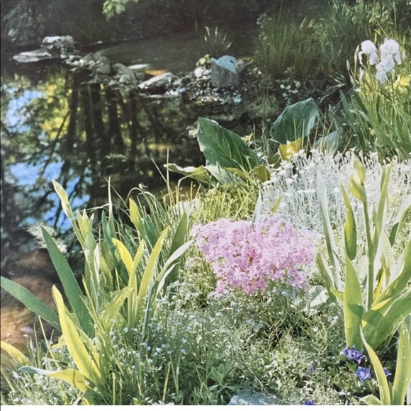 ! 1 Page/2 Sides frm VTG 1951 Photography Book, Model in Blue, Landscaping Scene - Picture 5 of 5